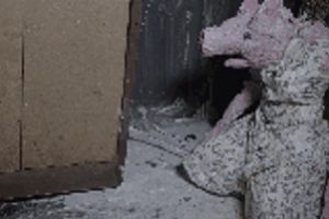 第九区:美国新西兰南非加拿大 动作科幻惊悚剧情 …2009…