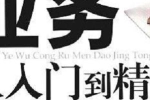 审计业务小帮手《审计业务从入门到精通》