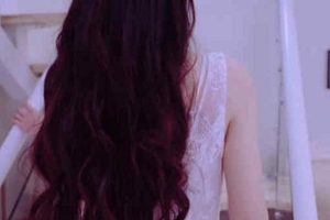 最新某推超美ren qi（多乙）合集