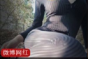 一个橘猫身上居然装了黑条纹衣的两套?