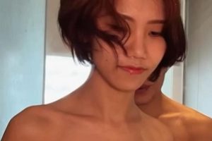 花重金请来的伊芙蝶小猫全程分钟不停,这是要气死铲屎官的节奏?