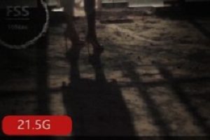 网红犬系妹子冯珊珊,她真的只是一个网红?