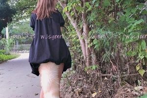 最新某推超人气年纪不大技术一流极品美女人气网红【极品罗莉】白姬（小鹿酱）最新散播完整合集[19V-9.3G]