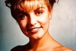 「双峰(1990-2017)：精美原画+丰富视频资源，阿里云盘+网络倍速观看」