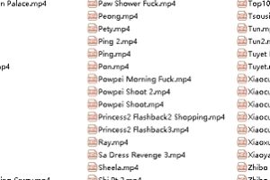 《洋人老米糕亚洲行：跨文化使者的探索之旅》