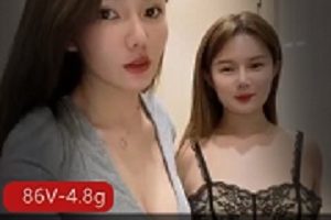 86V4.8g小视频珍藏绝版，高颜值打粑粑良心资源