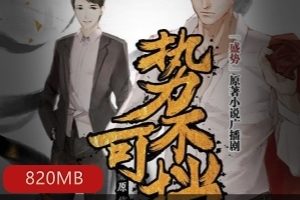 势不可挡的柴肉鸡蛋广播剧