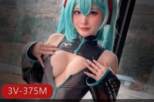 火爆弄OS小丁初音未来最新合集3V375M，完美出镜修下水道