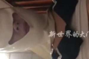 大神合集百度云大罩杯列传4部曲91V467M，自行打包永久有效