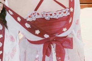 网红绝版柚木百合少女合集28V28.7G，绝美玉兔女神视频图集