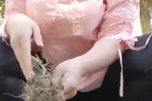 柏欣彤广场舞57g合集未知流连忘返