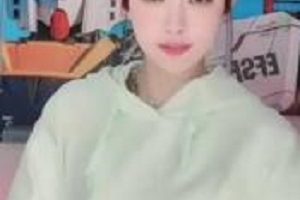 热辣抖音一只霸王兽私拍39V1G