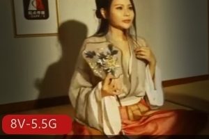 起点传媒奇Y三国系列合集8部5.5G，创意十足！