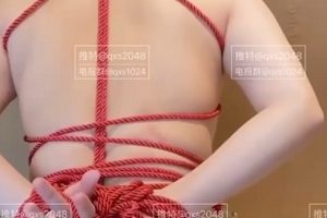 推特Q先森200V合集健美女神16.9G大神私藏