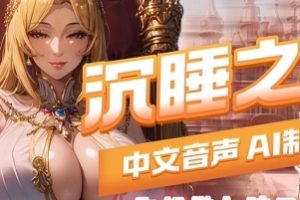 另类风味！博主66伪娘雌堕媚黑助眠合集238V16G