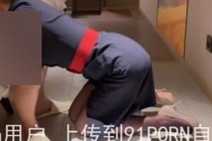 91斯文禽兽优质猎艳约遍各路女神46G资源太顶了
